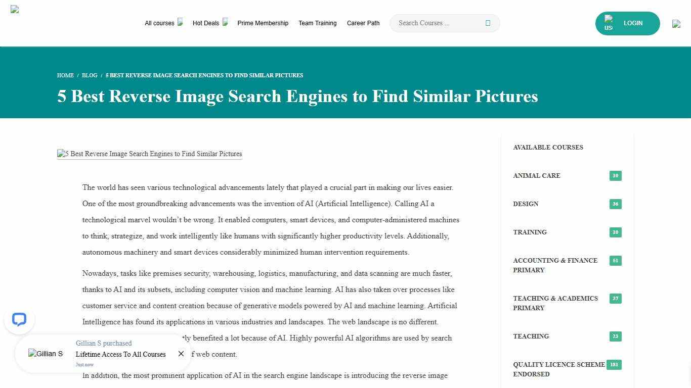 5 Best Reverse Image Search Engines to Find Similar Pictures – Training Express
